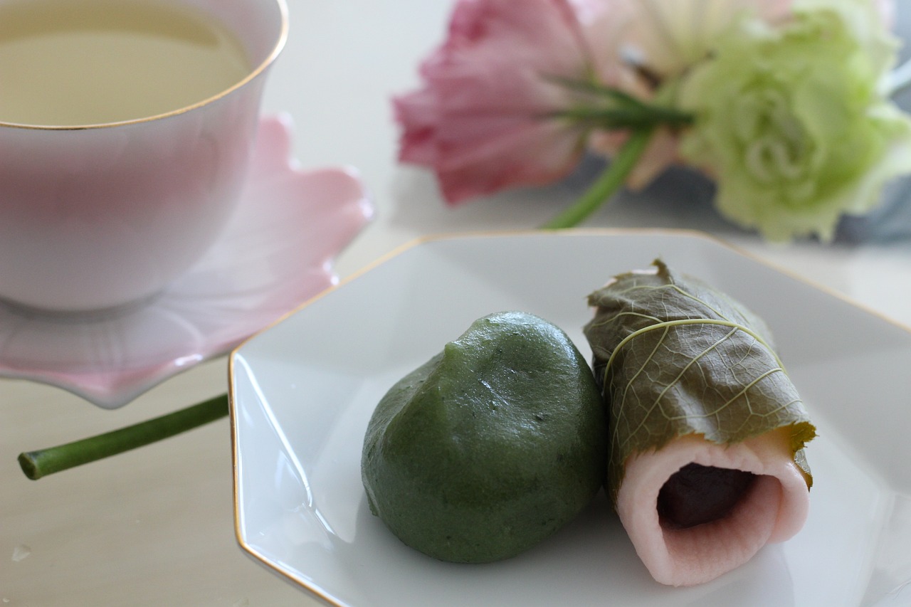 柿饼多大试管代生的孩子可以吃吗（多大的试管代生的孩子可以吃柿饼）